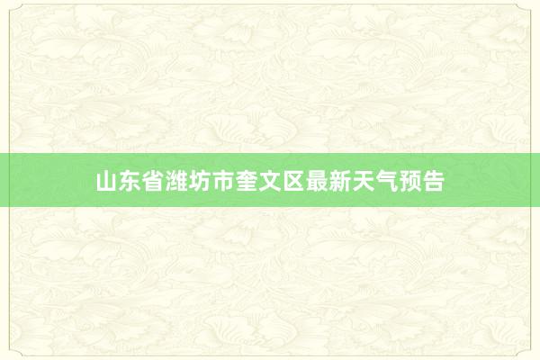 山东省潍坊市奎文区最新天气预告